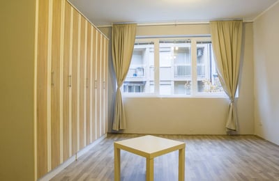 Long-term rental of a cozy 2-room apartment, 60 m², Vračar district, Belgrade, Serbia